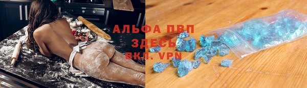 индика Заволжье