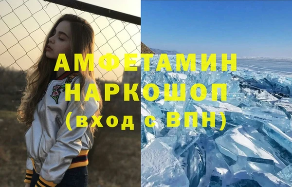 индика Заволжье