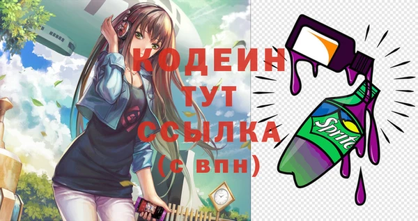 хмурый Елабуга