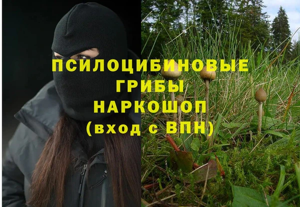прущие крисы Заволжск